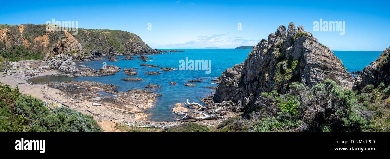 Litorale roccioso, Whitireia Park, Titahi Bay, Porirua, Wellington, Isola del Nord, Nuova Zelanda Foto Stock