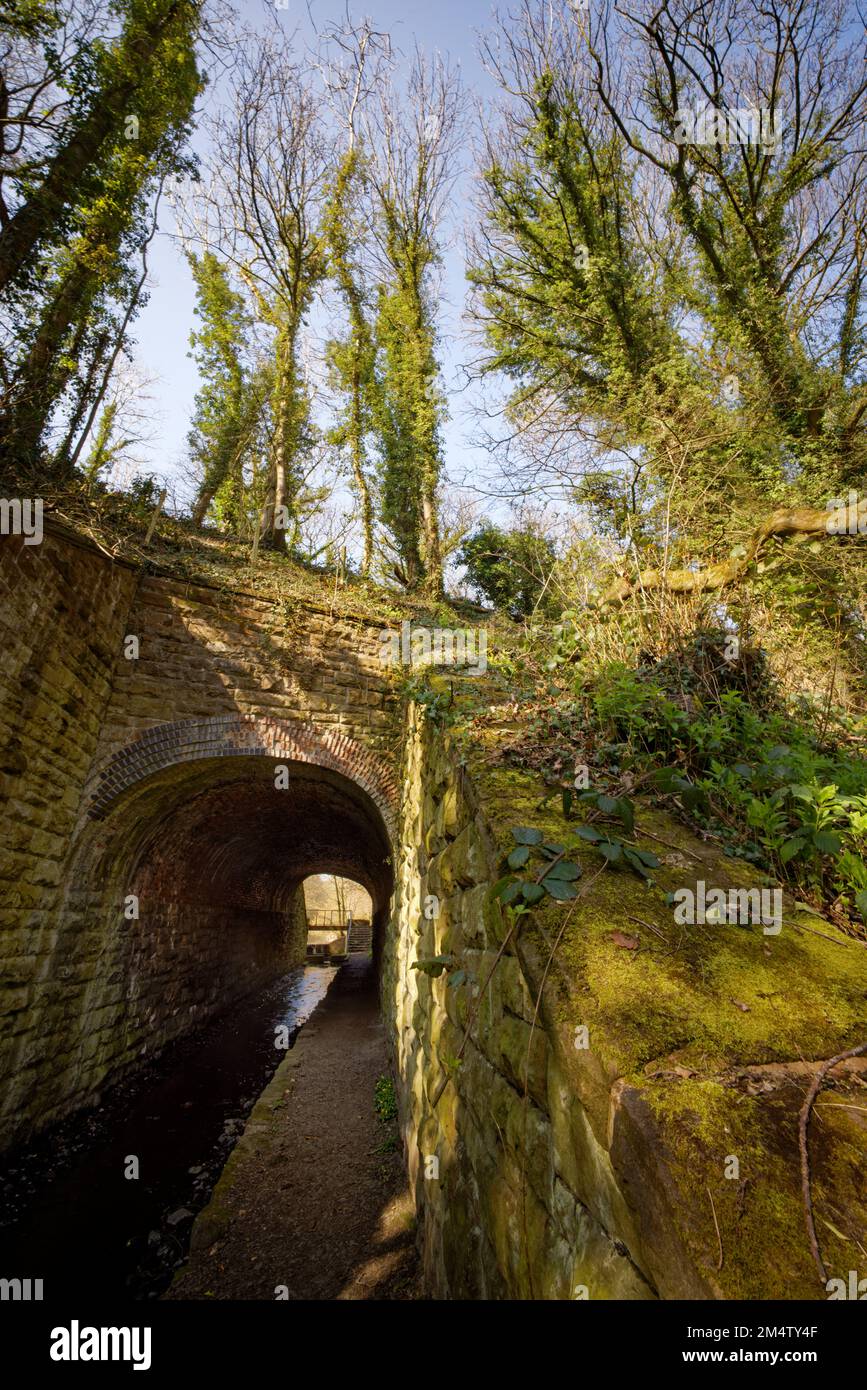 Il tunnel al Moss Valley Park, Brynteg, Wrexham, Galles del Nord, Regno Unito Foto Stock
