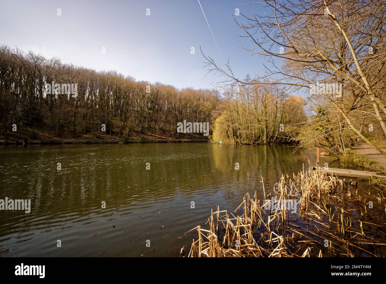 Il lago di pesca a Moss Valley, Brynteg, Wrexham, Galles del Nord, Regno Unito Foto Stock