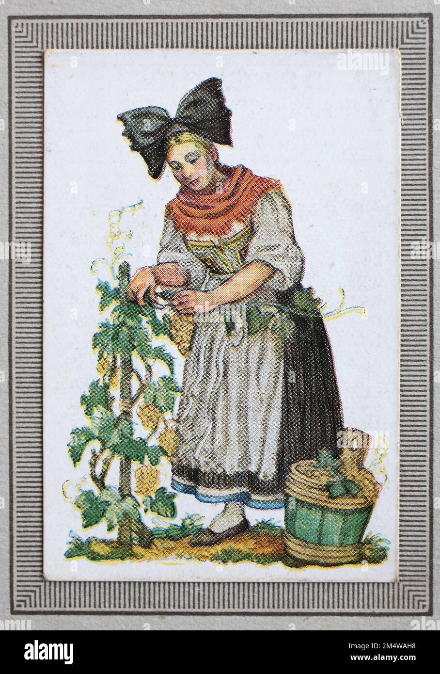 Trachten in Deutschland im 19. Jahrhundert, Süddeutschland, Frau, Bäuerin aus dem westlichen Baden, Historisch, restaurierte digitale Reproduktion von einem Sammelbild aus dem Jahre ca 1910 / Costumi tradizionali in Germania nel 19th ° secolo, Germania meridionale, donna, contadina del Baden occidentale, riproduzione storica, restaurata digitalmente da una foto collettiva da circa 1910 Foto Stock