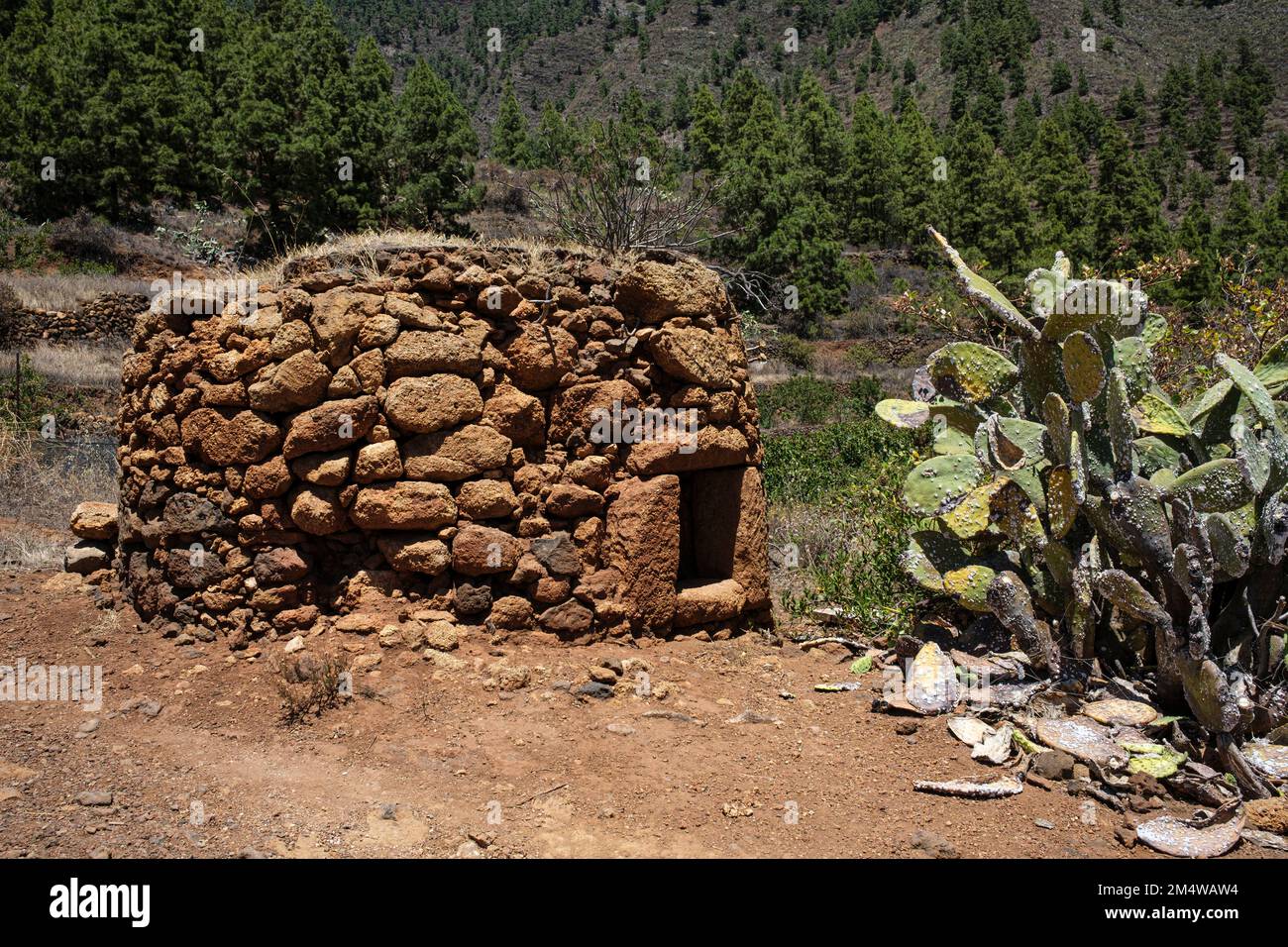 Forno o forno in pietra costruito all'aperto utilizzato per la produzione di tegole, accanto a un cactus di pera di fico cocineale coperto in Araya, Candelaria, Tenerife, Canarie Foto Stock