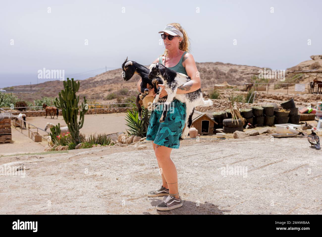 Un volontario che trasporta due caprini al santuario degli animali ecologici di salvataggio dei cavalli di Tenerife, un ente benefico di salvataggio degli animali con sede a Tajao, Tenerife, isole Canarie, Foto Stock