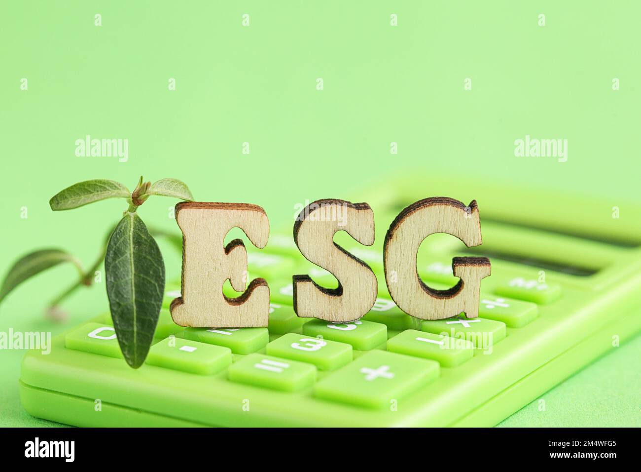 Calcolatore verde, lettera in legno ESG, pianta fresca su sfondo verde. Ambiente, sociale, Corporate Governance. Investimenti sostenibili. Foto Stock