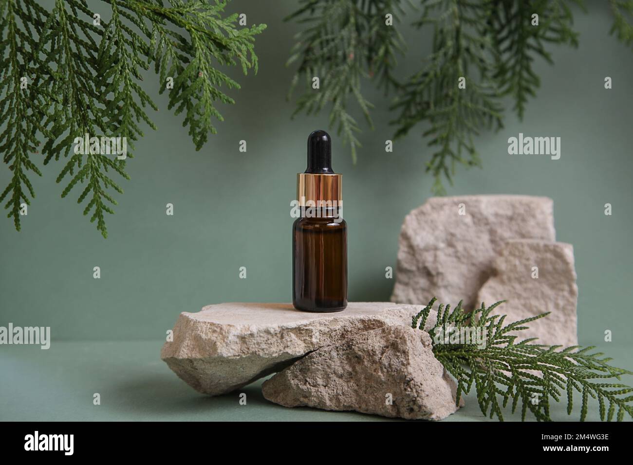 Podio di pietra naturale, foglie verdi, bottiglia di vetro di olio essenziale, presentazione di imballaggi, cosmetici su sfondo verde. Foto Stock