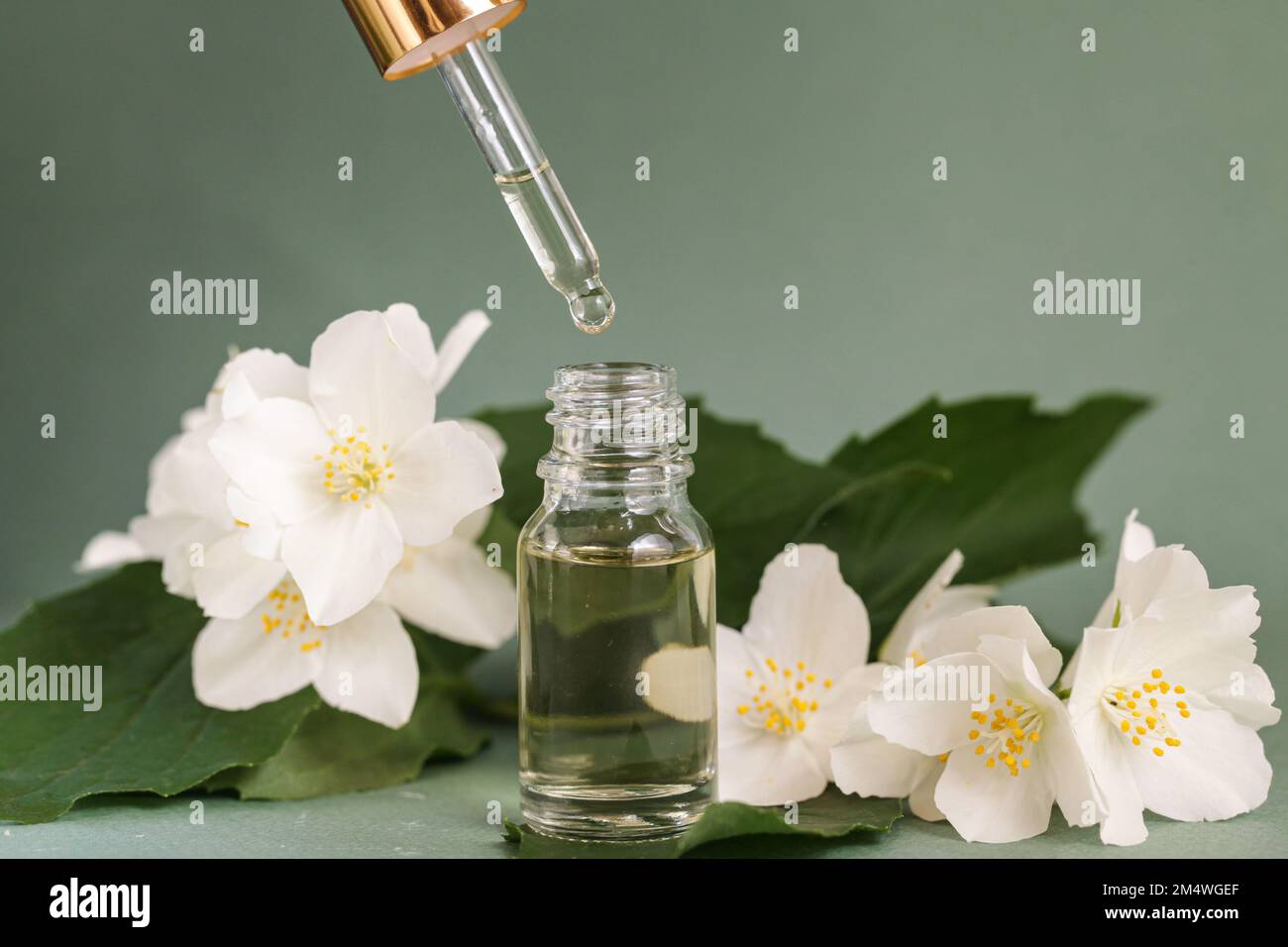 Bottiglia di vetro cosmetica per oli essenziali con fiori di gelsomino su fondo verde. Terme naturali Serums. Flacone contagocce Mock-Up. Spazio di copia Foto Stock