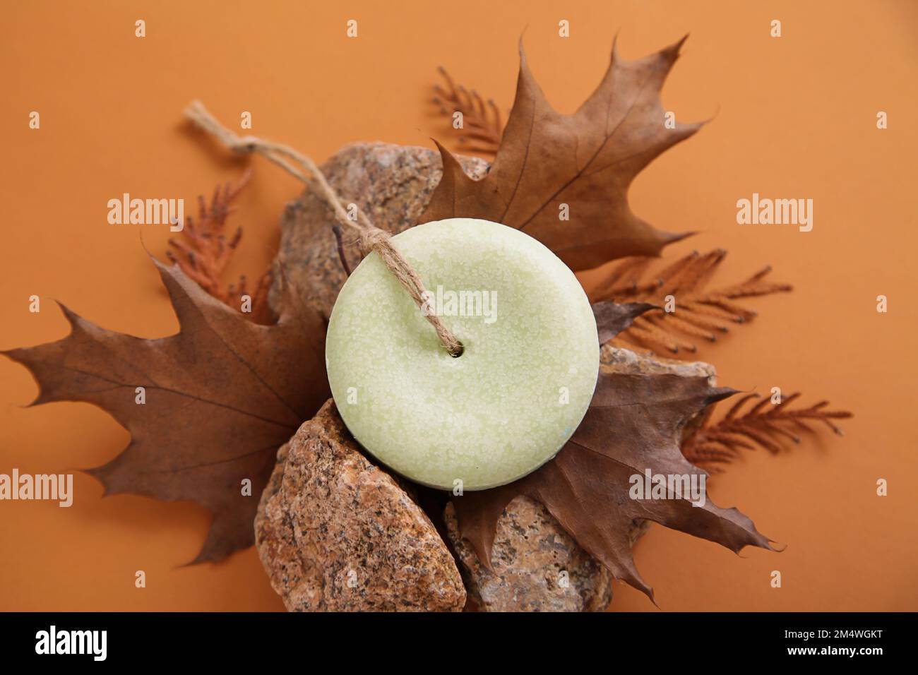 Shampoo a secco massiccio fatti a mano di forma rotonda su sfondo autunnale. Cosmetici naturali per i capelli. Sapone artigianale. Prodotti ecologici, senza sprechi Foto Stock
