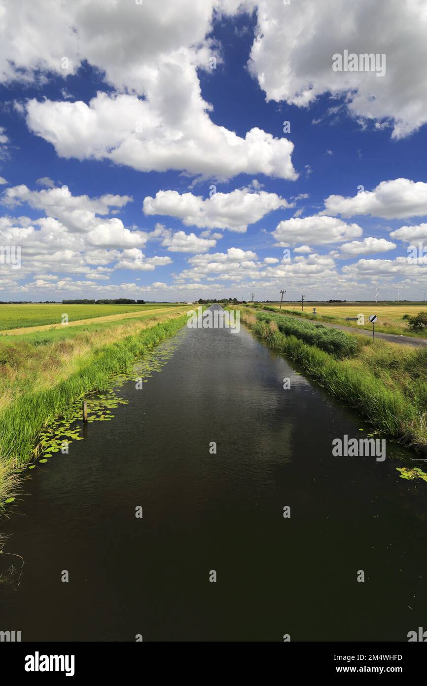 Summer View su Bevills apprendere drain, Pondersbridge village, Fenland; Cambridgeshire; Inghilterra; Regno Unito Foto Stock