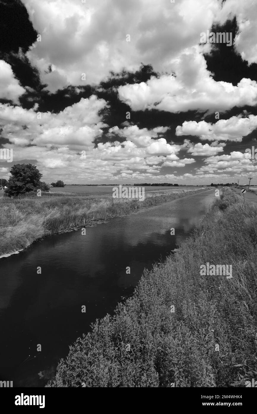 Summer View su Bevills apprendere drain, Pondersbridge village, Fenland; Cambridgeshire; Inghilterra; Regno Unito Foto Stock