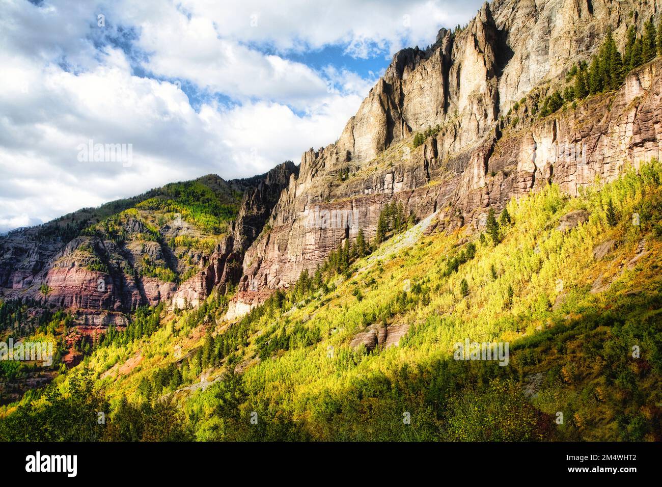 Il colore autunnale spazia sulle pendici delle montagne di San Juan intorno a Telluride, Colorado. Foto Stock