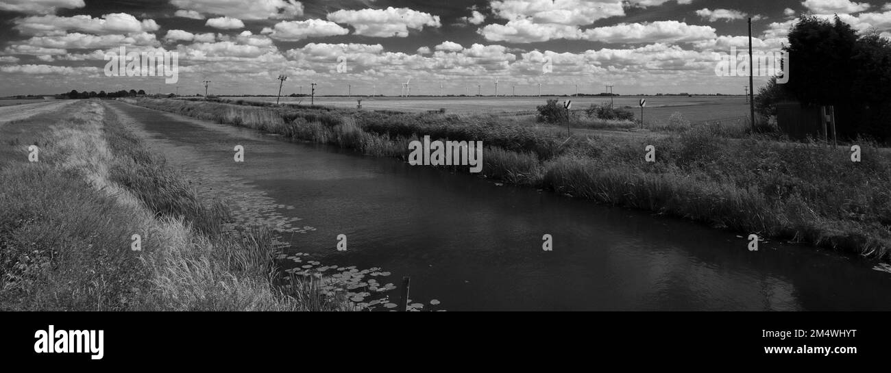 Summer View su Bevills apprendere drain, Pondersbridge village, Fenland; Cambridgeshire; Inghilterra; Regno Unito Foto Stock