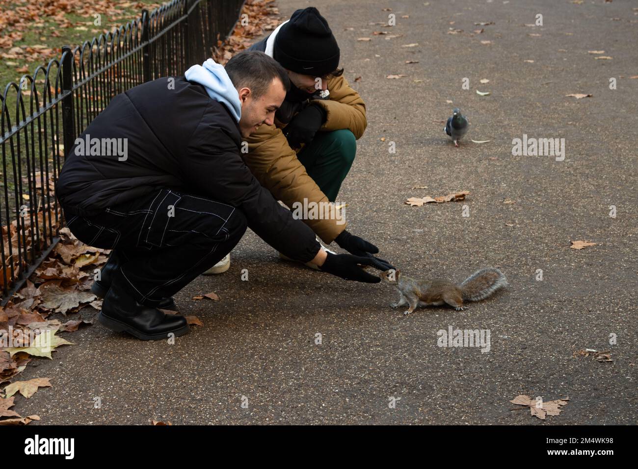 Due uomini gentili nutrono gli scoiattoli del parco di St James in autunno a Londra Foto Stock