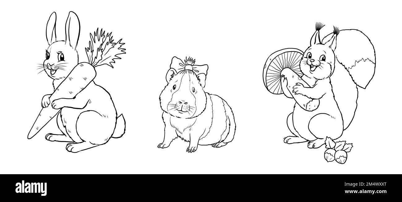 Coniglio carino, scoiattolo e porcellino d'India a colore dentro. Modello per un libro da colorare con animali divertenti. Modello da colorare per bambini. Foto Stock