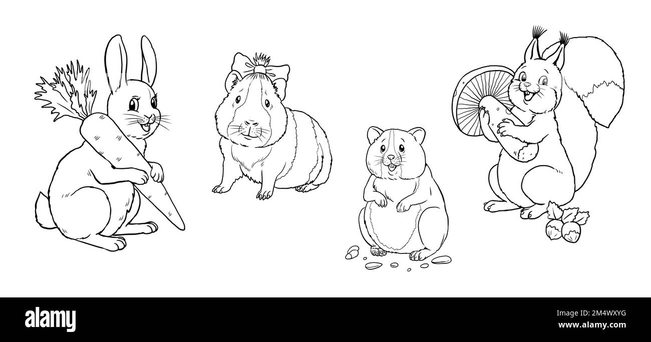 Coniglio carino, scoiattolo, criceto e porcellino d'India a colore dentro. Modello per un libro da colorare con animali divertenti. Modello da colorare per bambini. Foto Stock