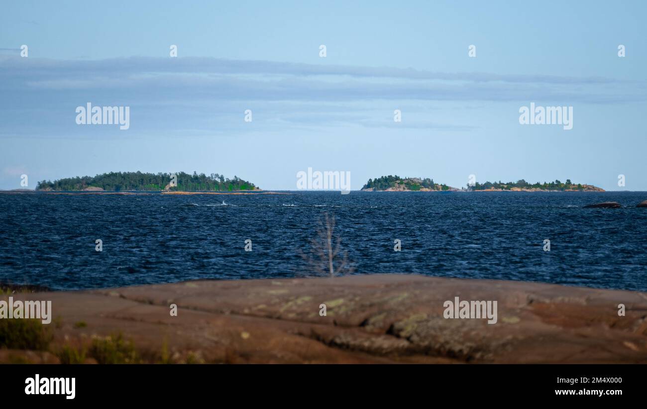 Scene di isole e le montagne la Cloche sulla Georgian Bay Foto Stock