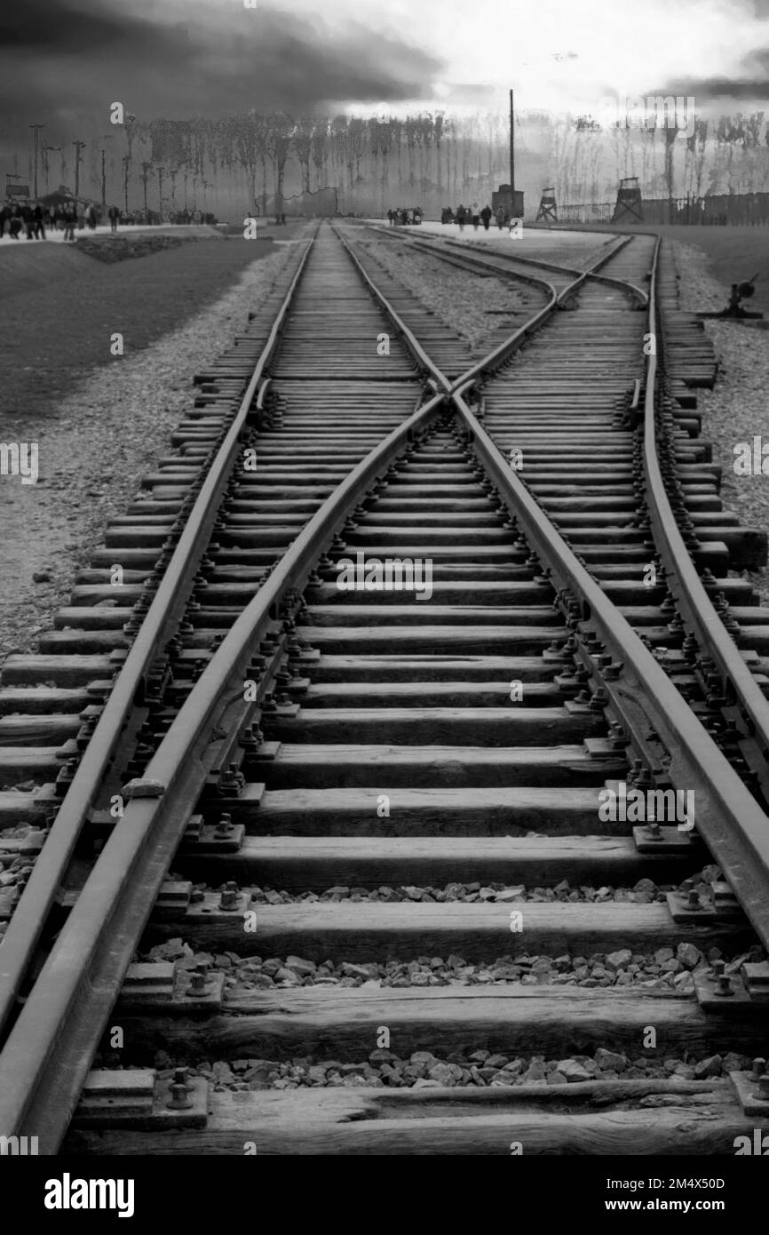 Pappagallo Foto Stock