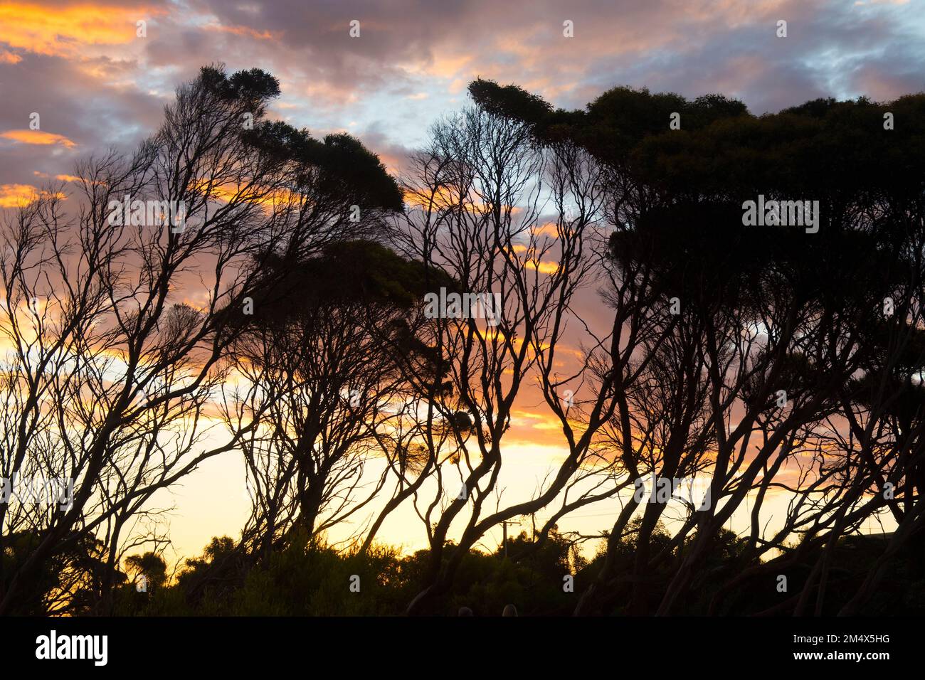 Kangaroo Island SA tramonto Foto Stock