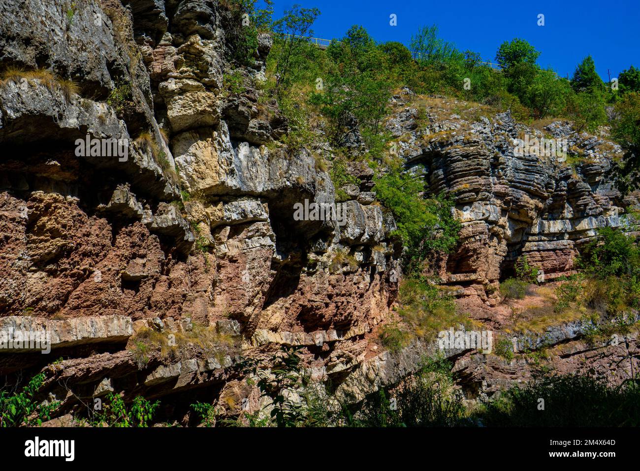 Ammira le formazioni geologiche della gola del fiume Boljetin nella Serbia orientale Foto Stock