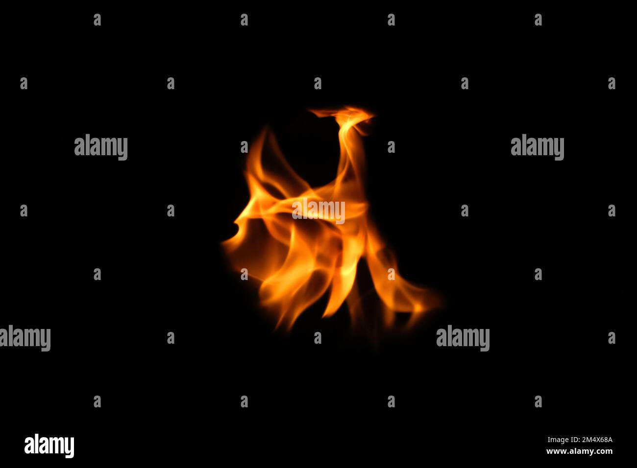 Disfocalizzare le fiamme. Eagle silhouette fuoco embers particelle su sfondo nero. Scintille di fuoco sfondo. Luci astratte con particelle di glitter scuro Foto Stock