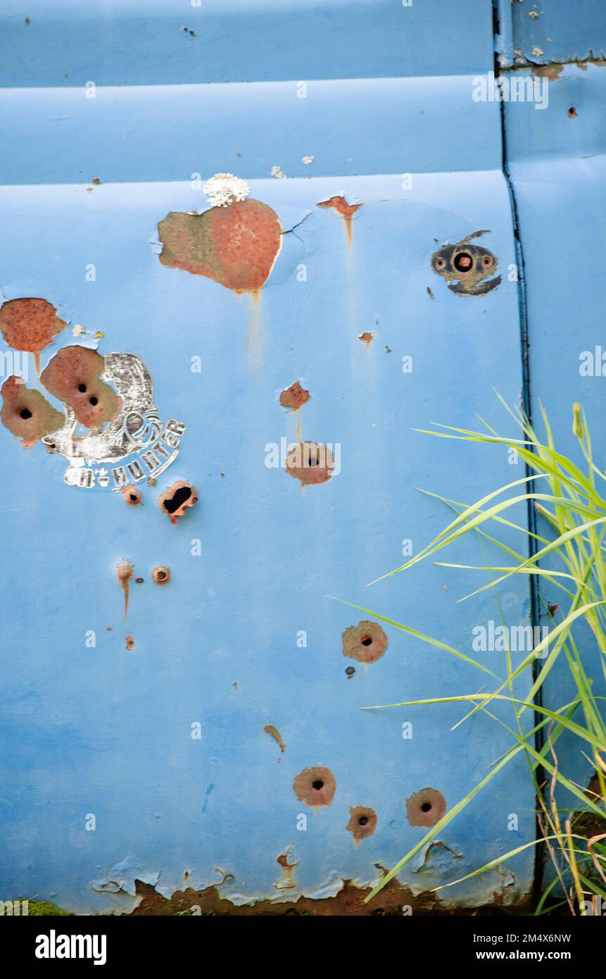 I buchi del proiettile penetrano casualmente in una vecchia porta del camion; appena qualcuno pratica dell'obiettivo o frustrazione con i vecchi junks?, Ellison Bay, Wisconsin Foto Stock
