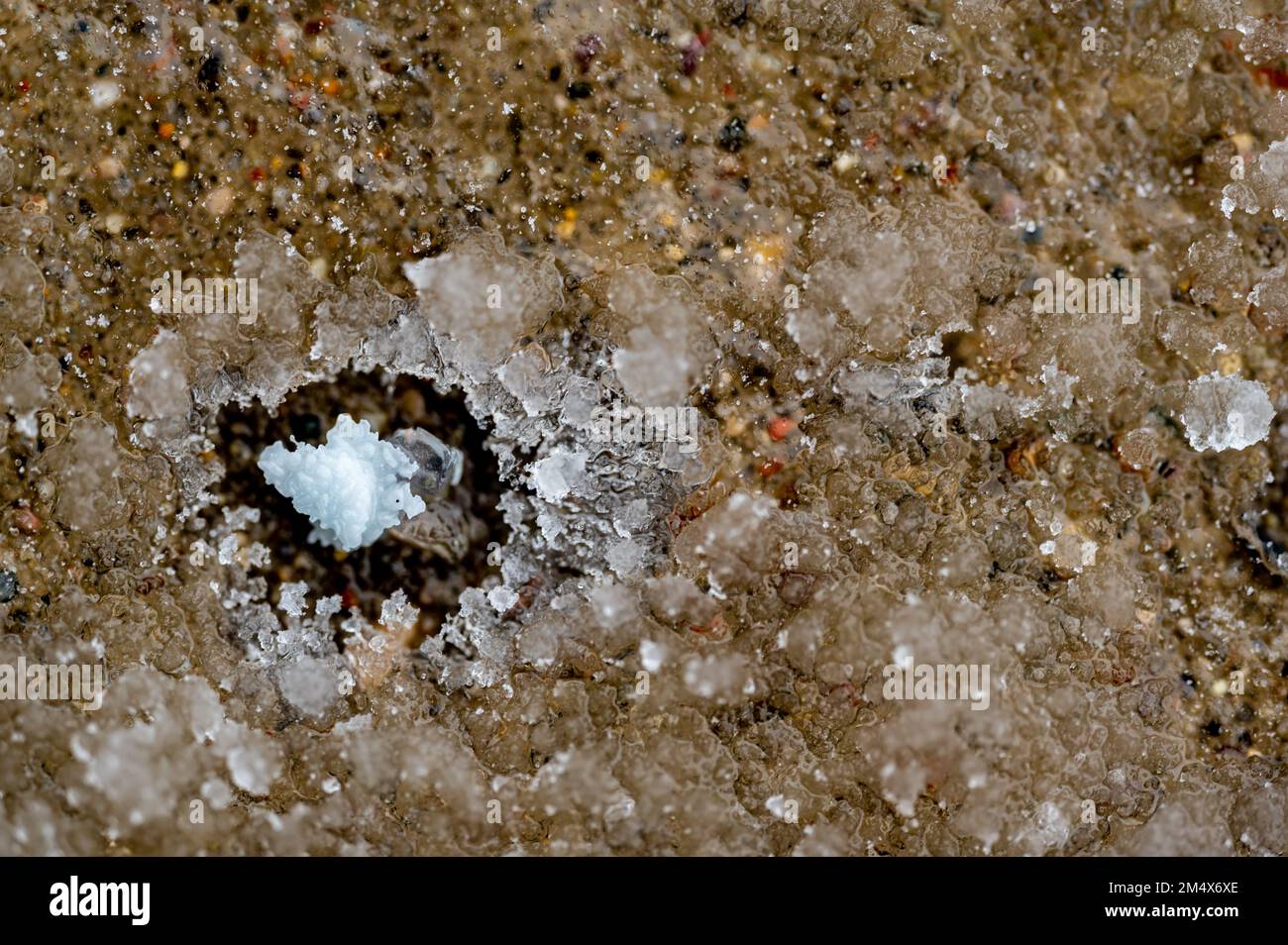 macro vista sopra di un unico sale di roccia ghiacciato su calcestruzzo con uno strato congelato. Foto Stock