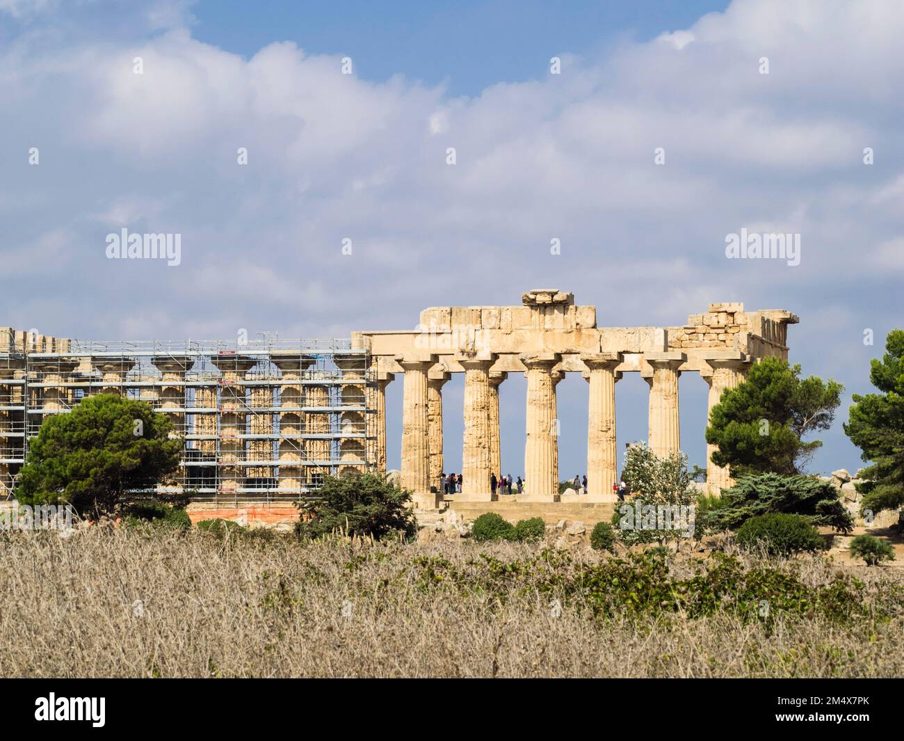 Tempio di Selinunte, Sicilia, Italia, Europa Foto Stock