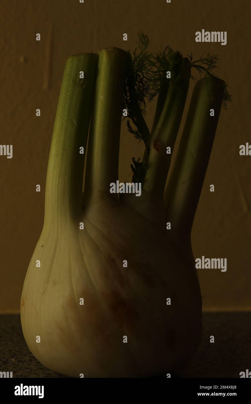 Immagine semplice in condizioni di scarsa illuminazione di un finocchio Foto Stock