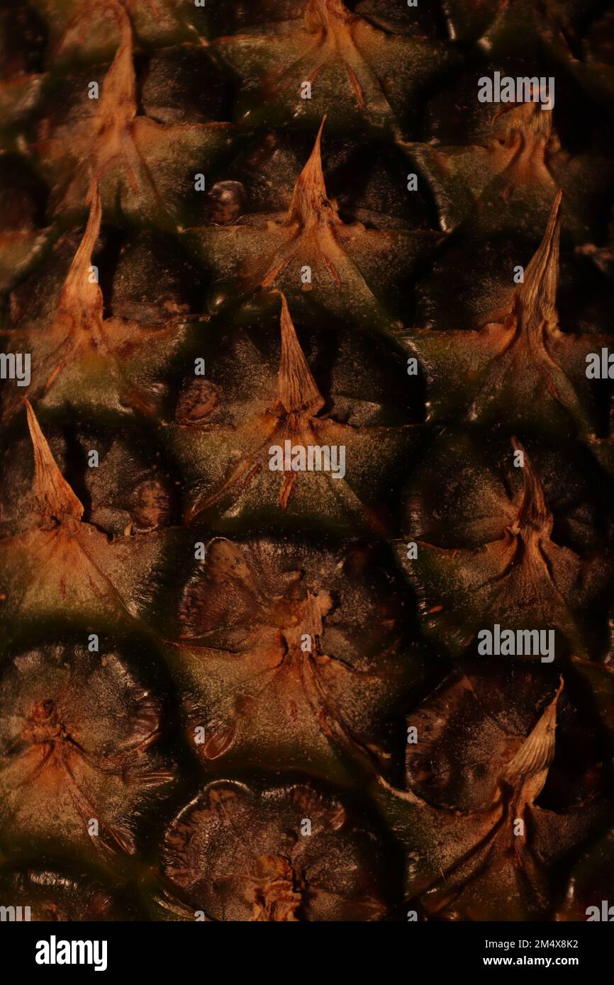 Immagine di sfondo composta da diverse forme di un ananas Foto Stock