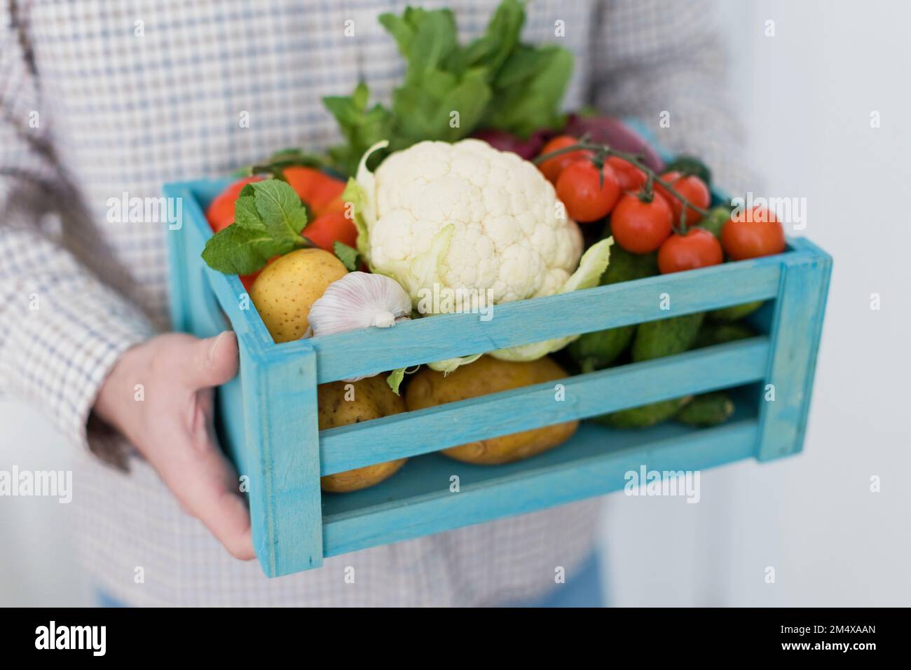 Uomo che tiene varietà di verdure biologiche in cassa Foto Stock