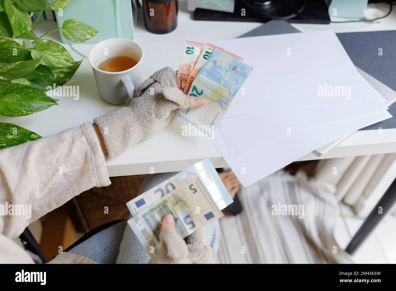 Donna che conta euro a casa Foto Stock