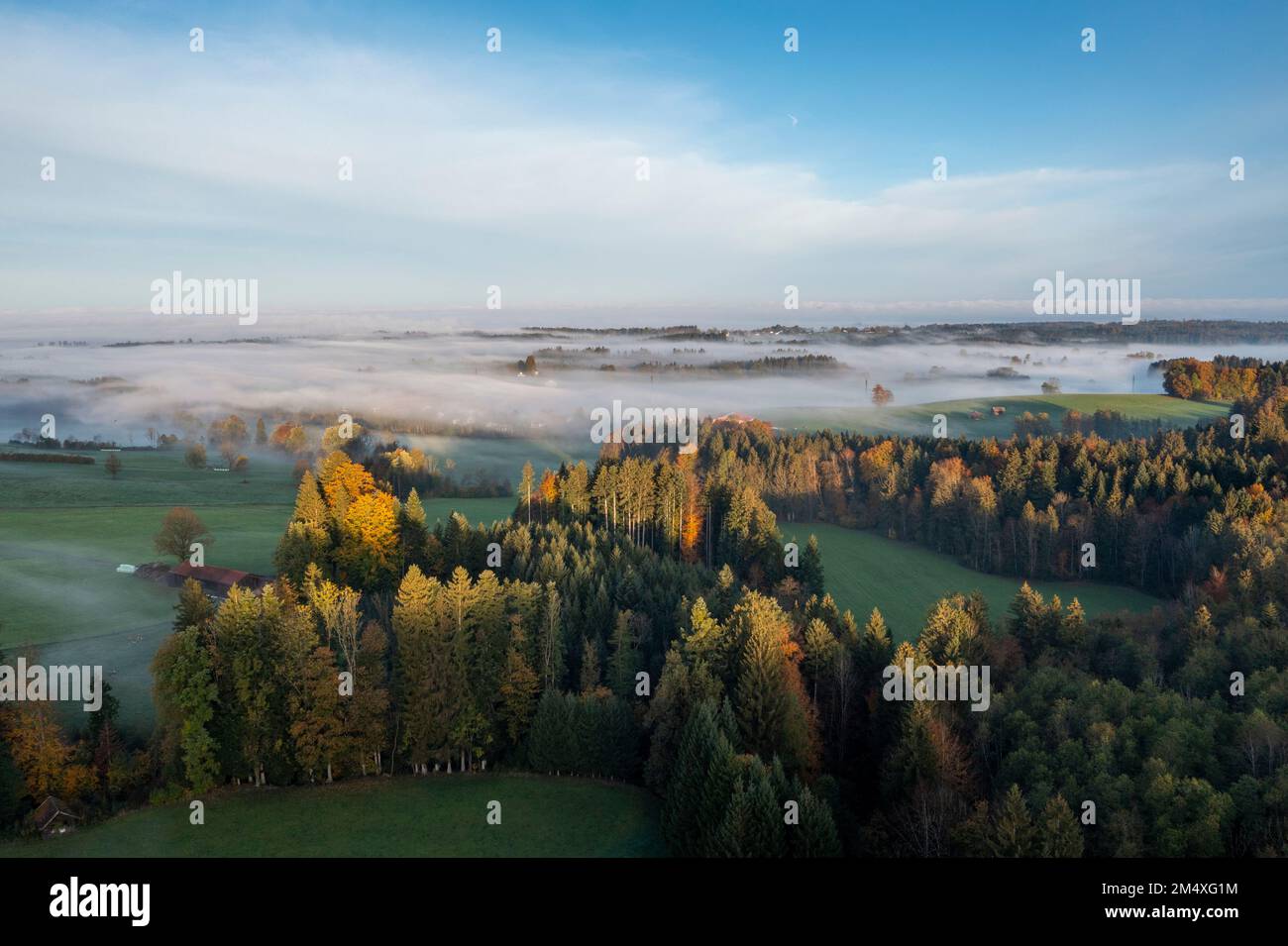 Germania, Baviera, Bad Tolz, veduta aerea della foresta autunnale all'alba nebbia Foto Stock