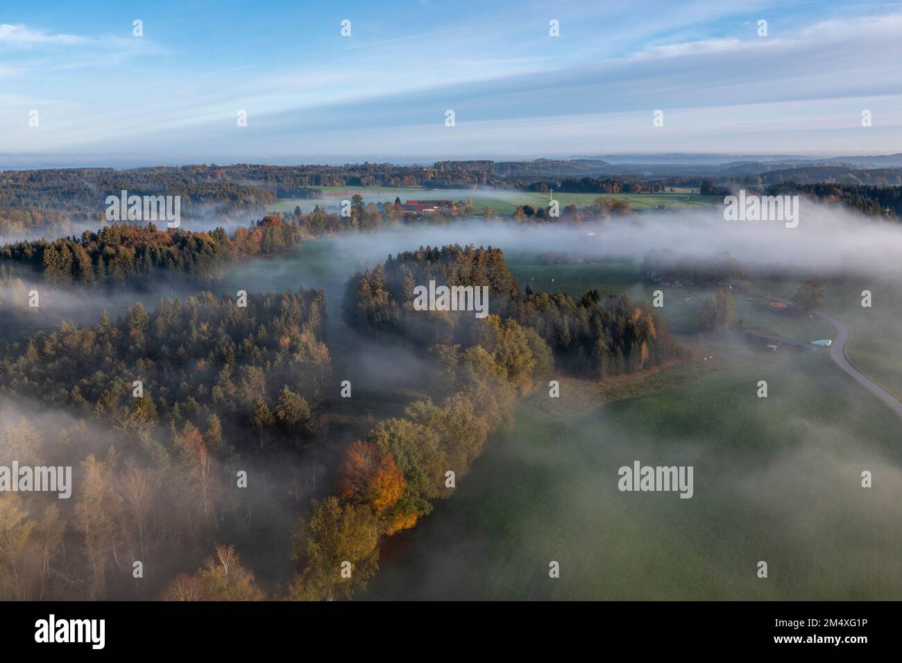 Germania, Baviera, Bad Tolz, veduta aerea della foresta autunnale all'alba nebbia Foto Stock
