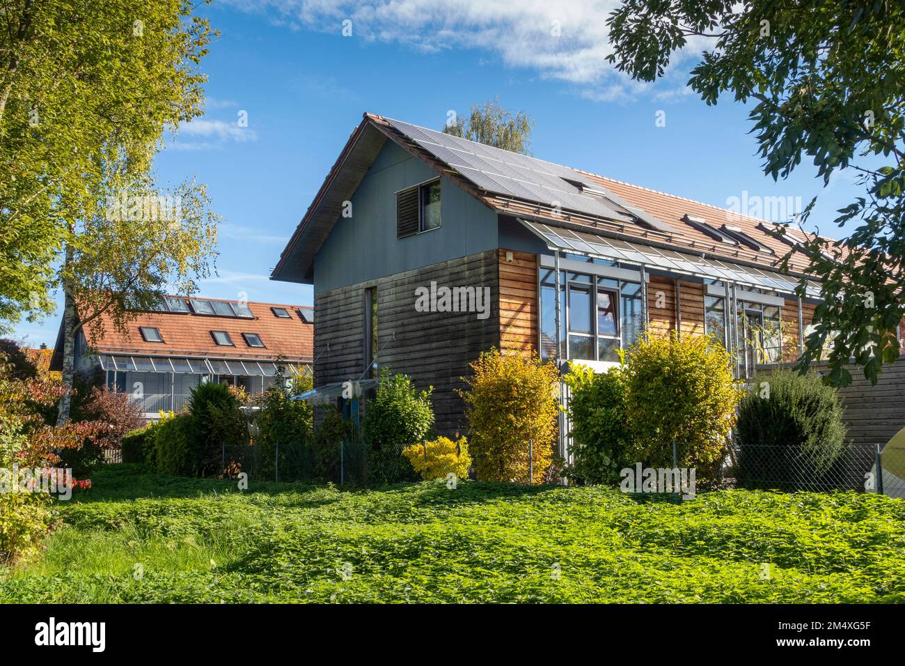 Germania, Baviera, Monaco, Yard dietro moderne case suburbane a risparmio energetico Foto Stock