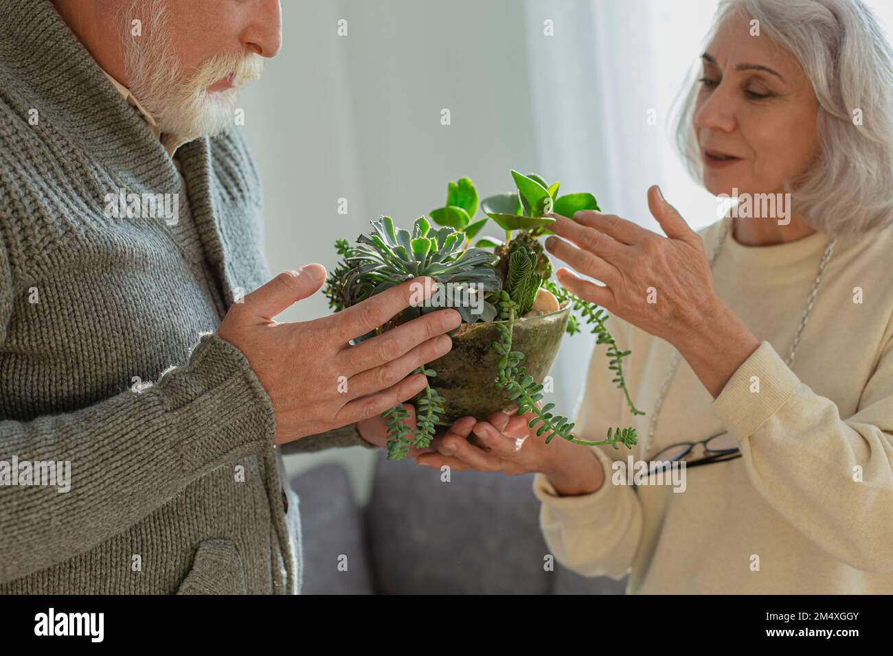 Coppia anziana che si prende cura delle piante della casa Foto Stock