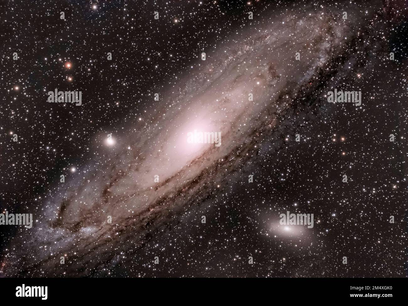 Galassia Andromeda circondata da stelle nel cielo Foto Stock