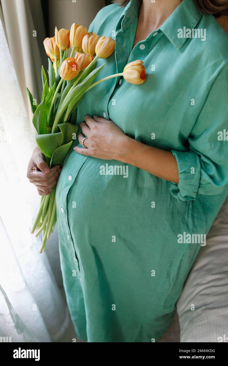 Mano di donna incinta che tiene tulipano arancione a casa Foto Stock