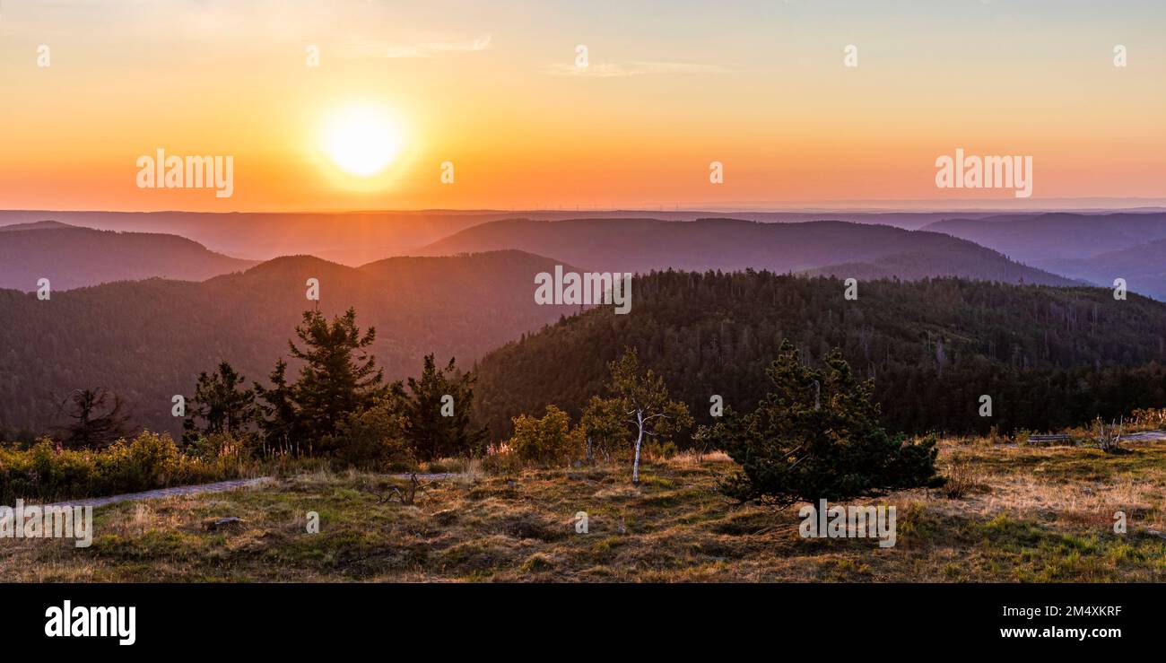 Germania, Baden-Wurttemberg, Paesaggio del Parco Nazionale della Foresta Nera all'alba Foto Stock