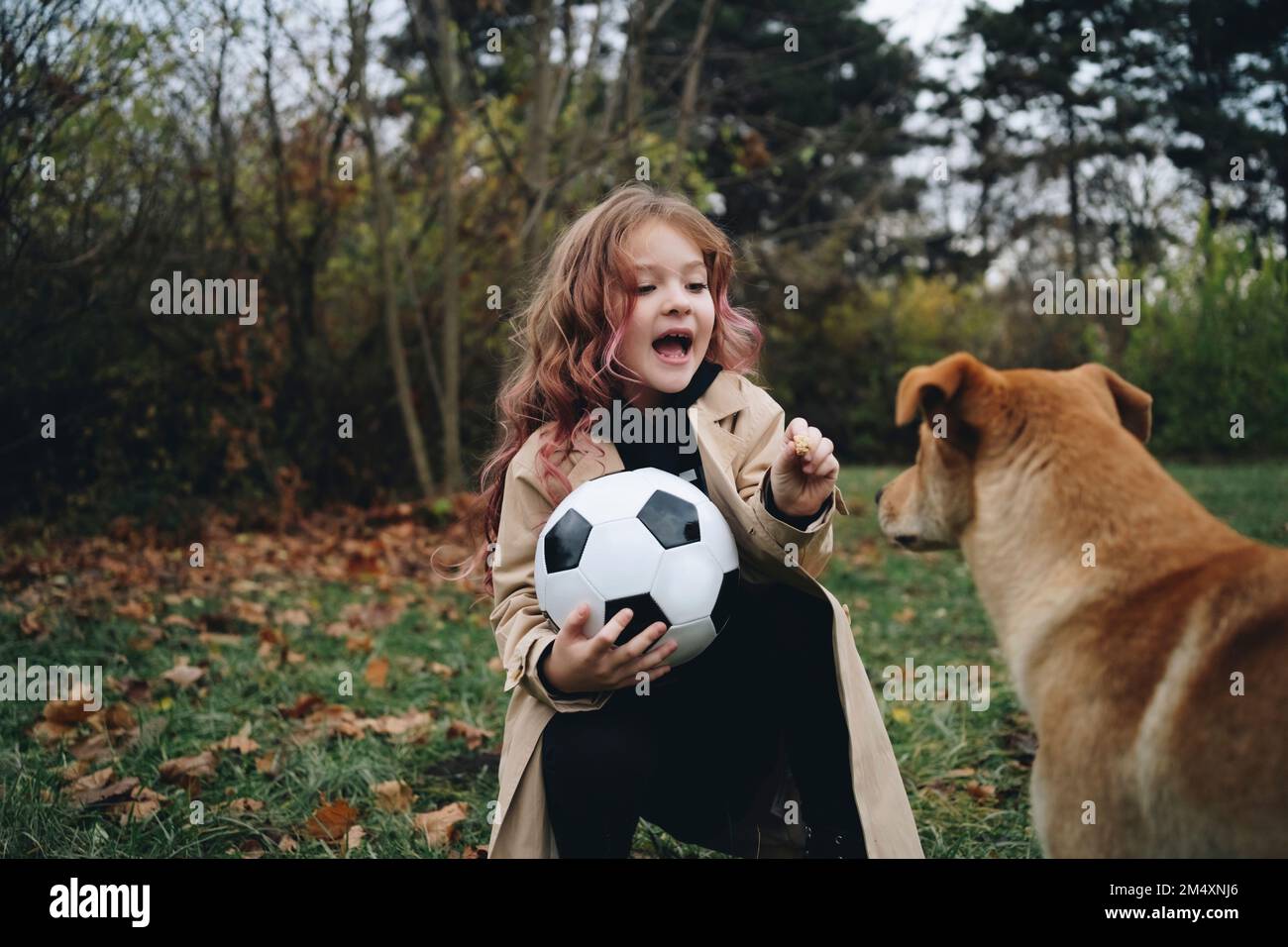 Ragazza carina che tiene la sfera di calcio che gioca con il cane al parco Foto Stock