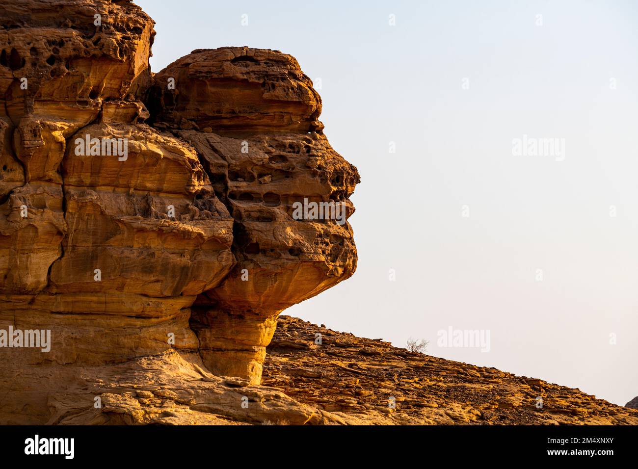 Arabia Saudita, Provincia di Medina, al Ula, formazioni rocciose di arenaria che assomigliano alla testa umana Foto Stock