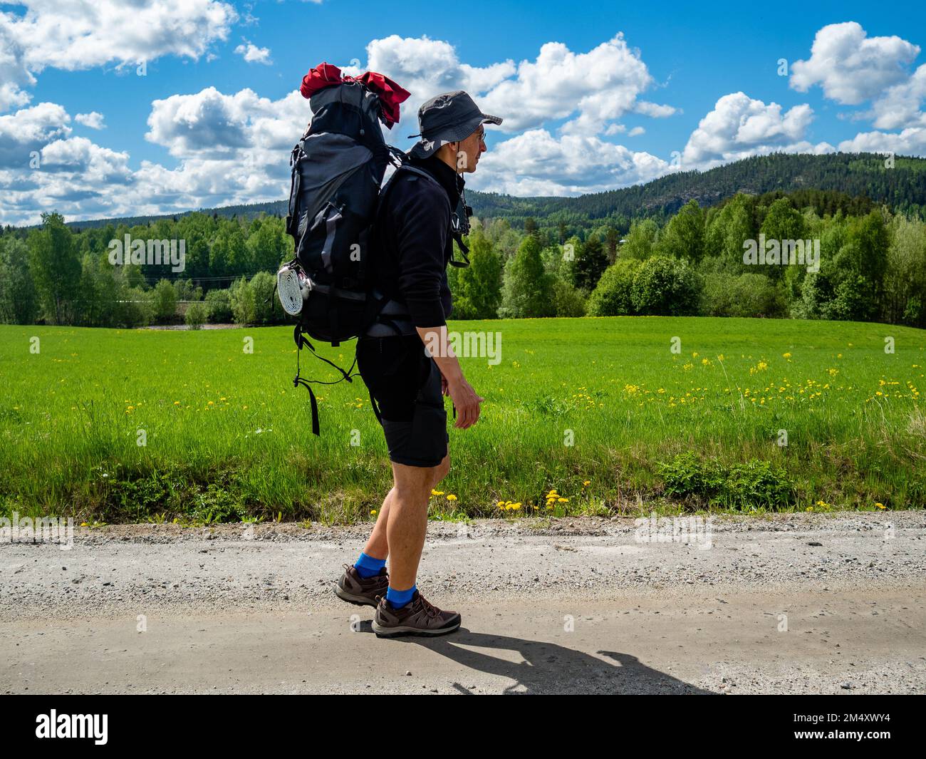 "St. Olavsleden offre agli escursionisti tutti i tipi di terreni da percorrere a piedi. Poiché il percorso va dalla Svezia alla Norvegia, il paesaggio è in continuo cambiamento, da roccioso, paludoso, collinare, boschivo, ecc. Il pellegrinaggio scandinavo è conosciuto come 'St. Olavsleden', è una rotta 580km che va dal Mar Baltico ad est all'Oceano Atlantico ad ovest, da Selånger in Svezia a Trondheim in Norvegia. Foto Stock