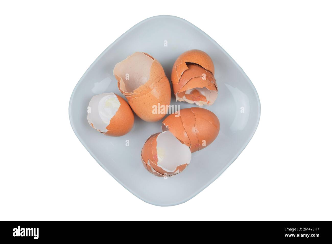Guscio d'algo. Guscio di uova in un piatto isolato su sfondo bianco. Rifiuti organici per compost. Foto Stock