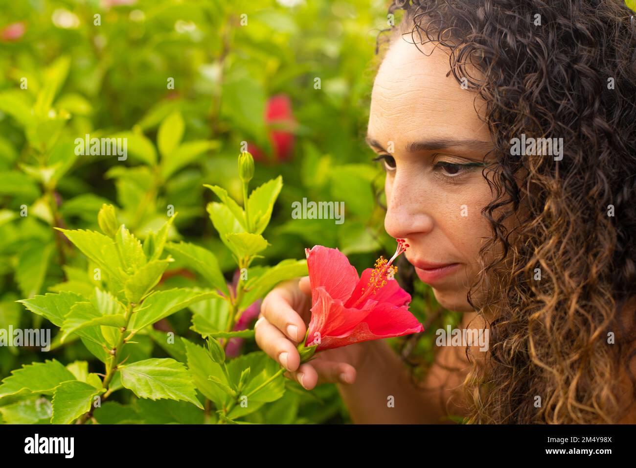 Una giovane bruna donna, odorante hibiscus rosa in giardino, in una giornata di sole, il concetto di bellezza Foto Stock