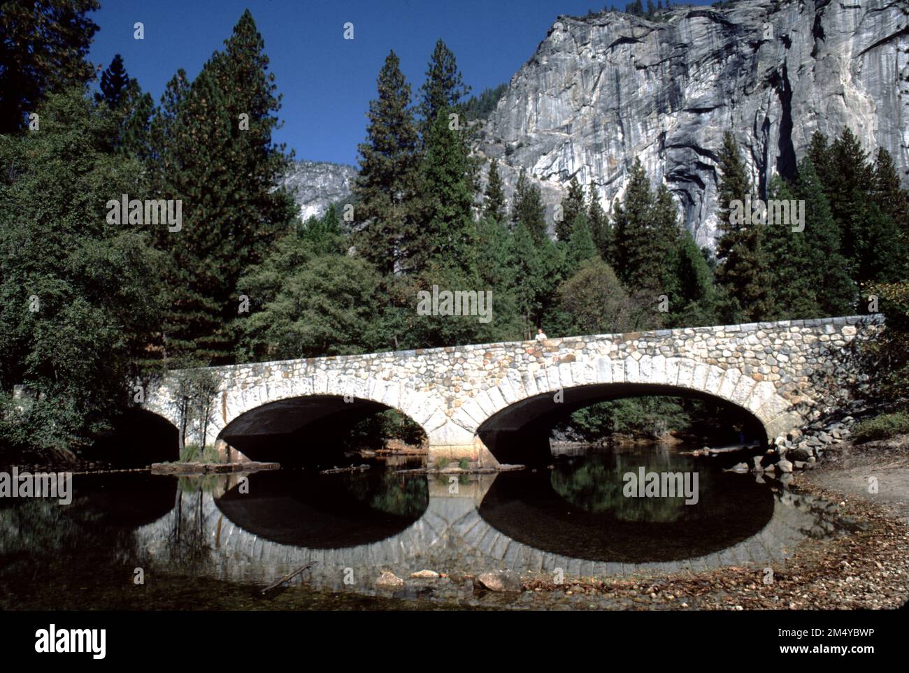 Yosemite National Park CA USA. 9/1984. Ponte sul fiume Merced e la cappella della Yosemite Valley. Il ponte di Ahwahnee fu costruito nel 1928 attraverso la Merced con tre archi, uno che si estende per 42 piedi (13 m) e gli altri che si estende per 39 piedi (12 m), per una lunghezza totale di 122 piedi (37 m). Il ponte è largo 39 piedi (12 m) con una carreggiata di 27 piedi (8,2 m), un marciapiede di 5 piedi (1,5 m) e un percorso di 7 piedi (2,1 m). Porta la Mirror Lake Road, che incornicia una vista di Half Dome per il traffico in direzione est. Il costo era di $59.913,09. La Cappella fu costruita nel 1879 sotto gli auspici dell'Associazione della Cappella dell'Unione Yosemita. Foto Stock