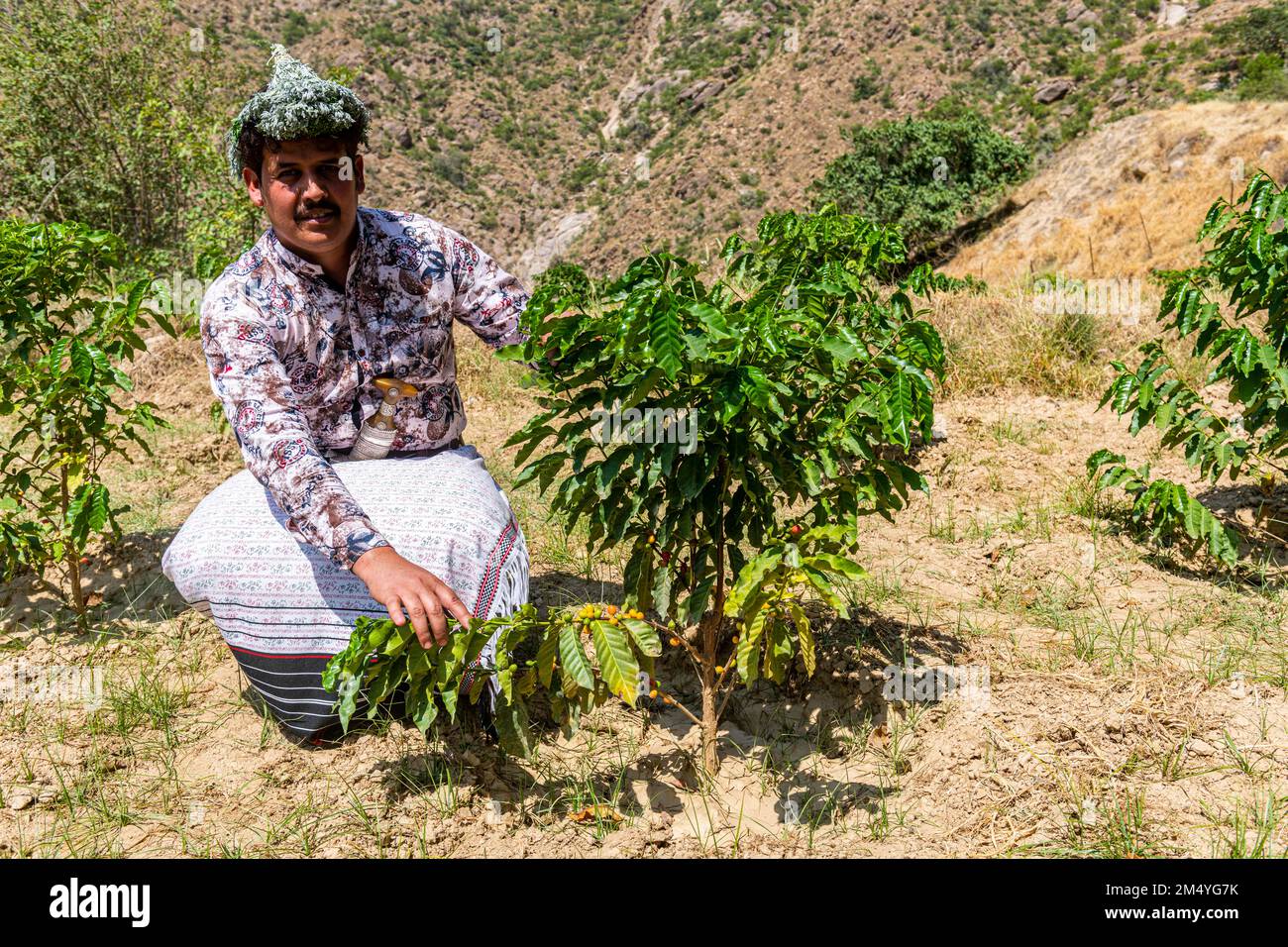 Uomo tradizionale vestito della tribù Qahtani Flower Men nelle piante da caffè, montagne ASiR, Regno dell'Arabia Saudita Foto Stock