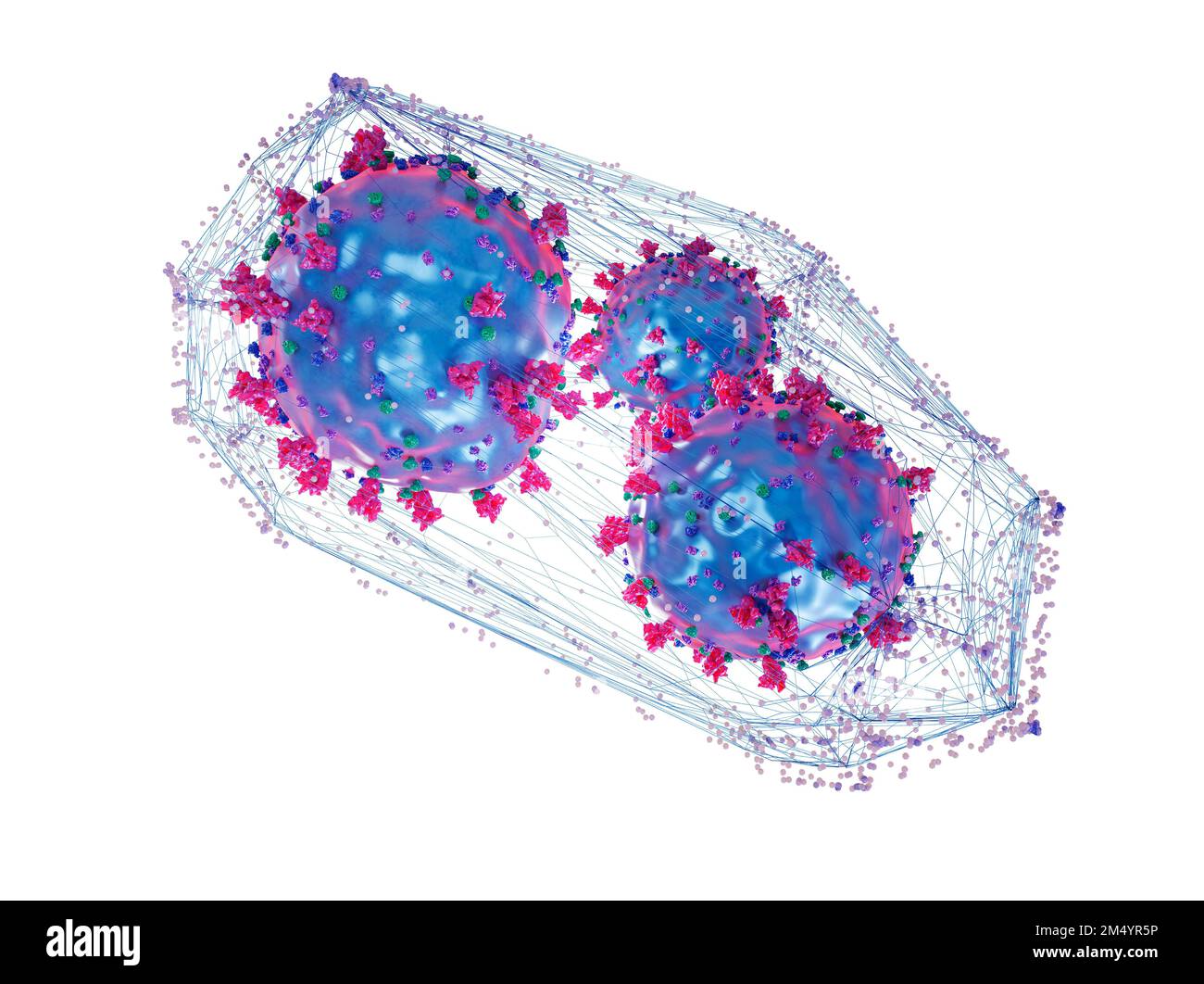 Coronavirus catturati in una rete, illustrazione concettuale. Foto Stock