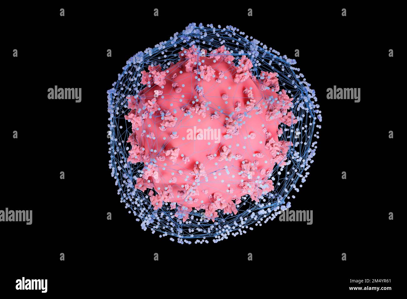 Coronavirus catturati in una rete, illustrazione concettuale. Foto Stock