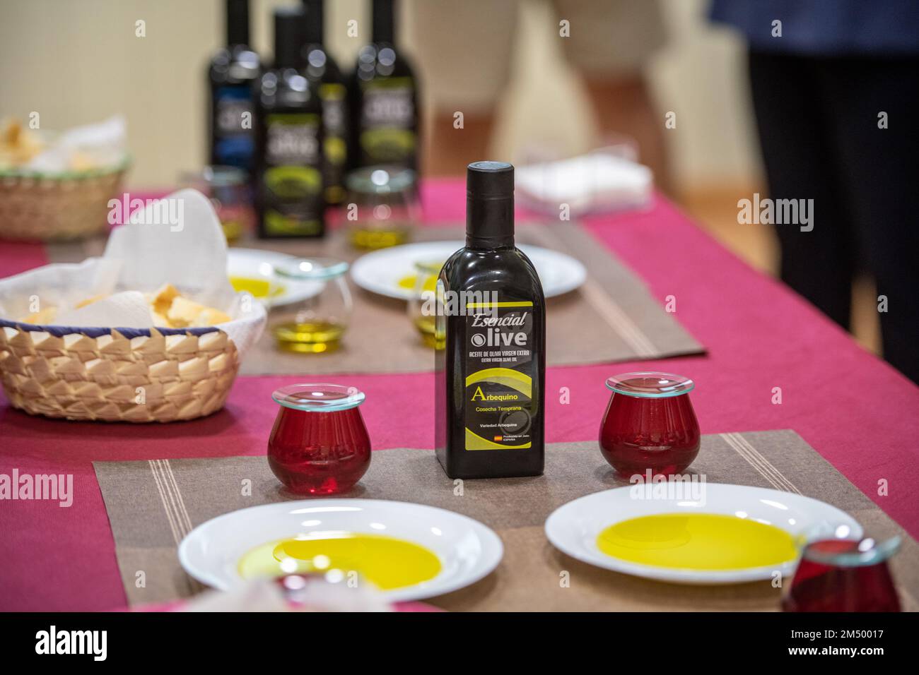 Processo dell'olio d'oliva, provincia di Jaen (il più grande produttore di olio d'oliva del mondo), Spagna Foto Stock