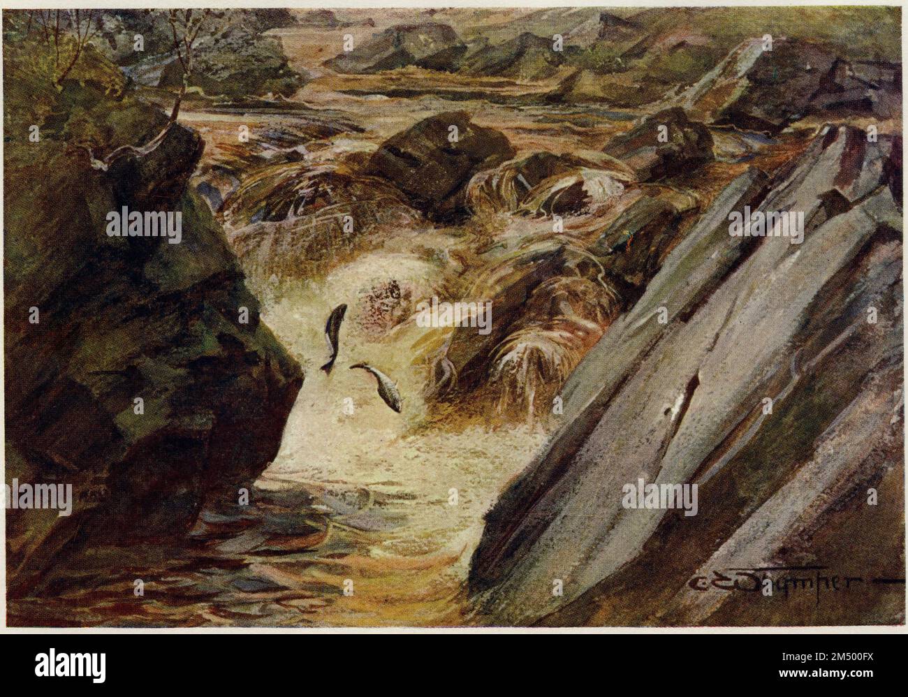 Mezzotono di un dipinto ad acquerello di Charles Whymper che mostra il salmone in una cascata, pubblicato nel 1906 Foto Stock