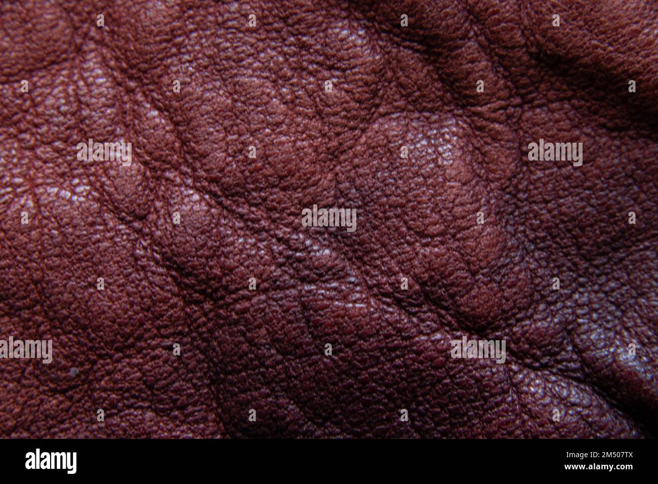 sfondo di rosso naturale closeup pelle Foto Stock