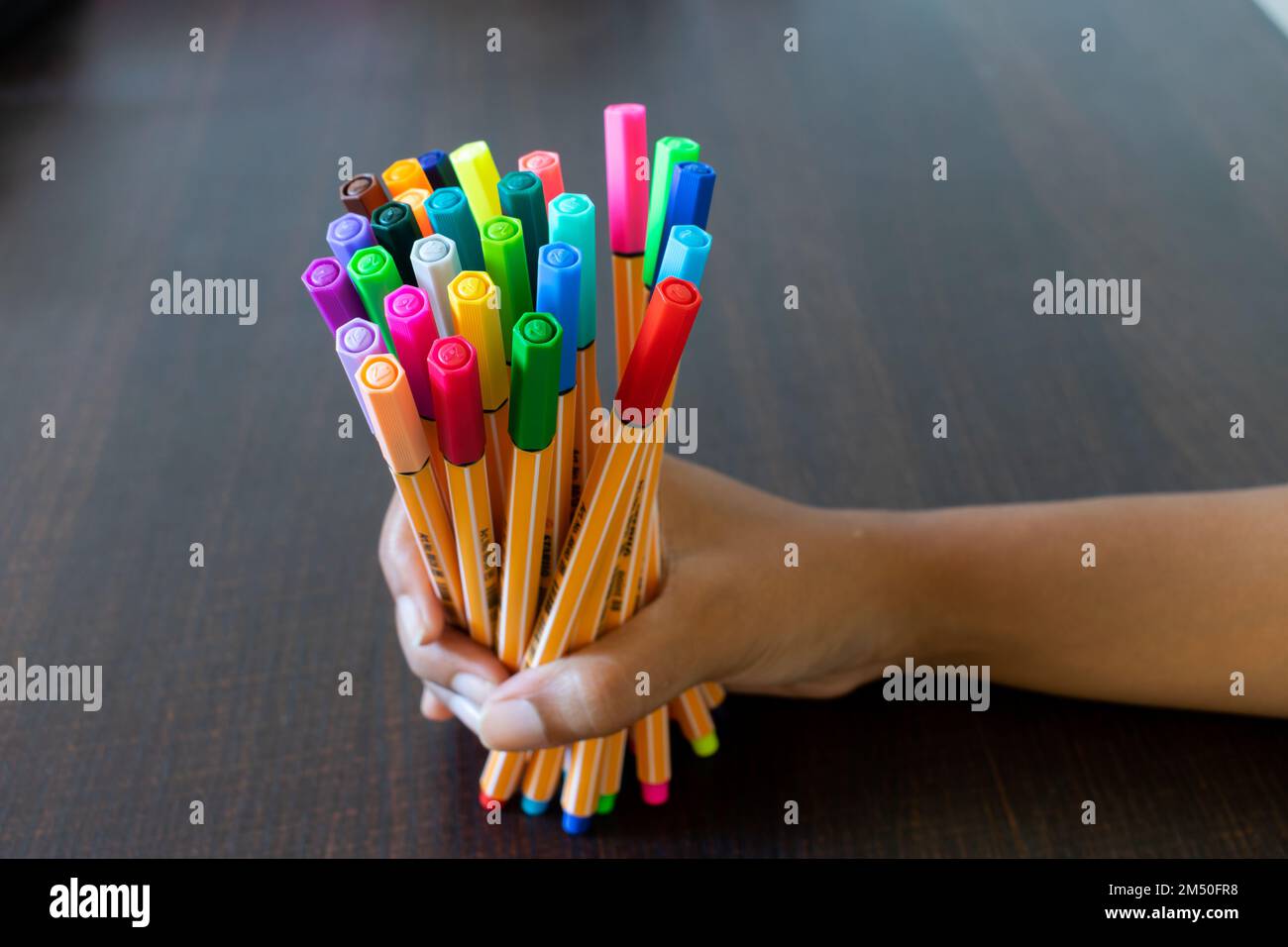 Penne colorate a 88 punti di Stabo tenute in mano sul tavolo di studio insieme a un white paper bianco per studio, arte, giornalistica, bullet journal, pianificatore, disegna Foto Stock