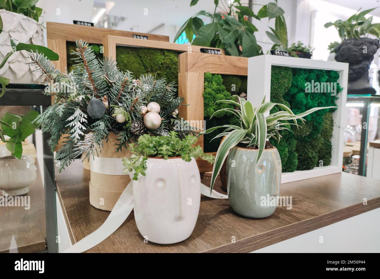 Muschio d'arte e arredamento in negozio. Verde naturale Moss natura cornici interni decorazioni sostenibile eco-friendly home design Foto Stock